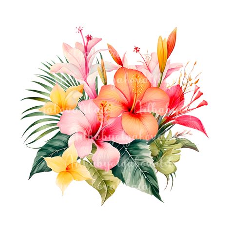 Tropical Flowers Clipart