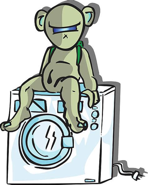 Image result for Bear Washing Machine