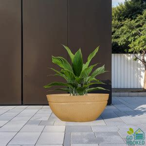 GO HOOKED Lotus Bowl 18 Inch Flower & Planter Pots for Home office ...