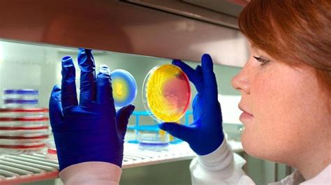 Suspect medical research has deadly consequences: A murky got has ...