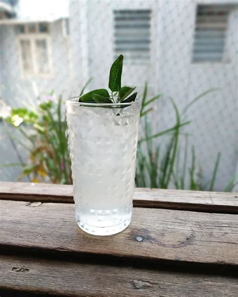 Witches Brew: Spooky Sparkling Water Delight | Polka Pop