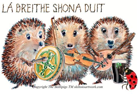 HAPPY BIRTHDAY Card Irish Gaelic Language La Breithe Shona Duit Folk ...