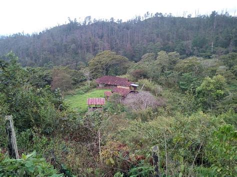 HOTEL LA CASONA DEL RINCON (Patuca) - Lodging Reviews & Photos ...