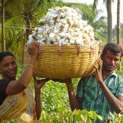 Westplains Agro Commodities Private Limited