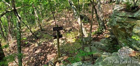 Hiking Read Mountain Preserve in Southwestern Virginia - 4.6 Mile Loop ...