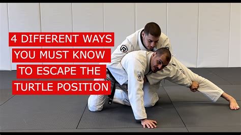 Image result for Turtleback Position