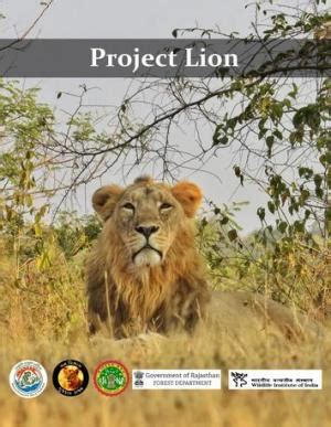 World Lion Day: The Asiatic lion is at a crossroads; can it find its ...
