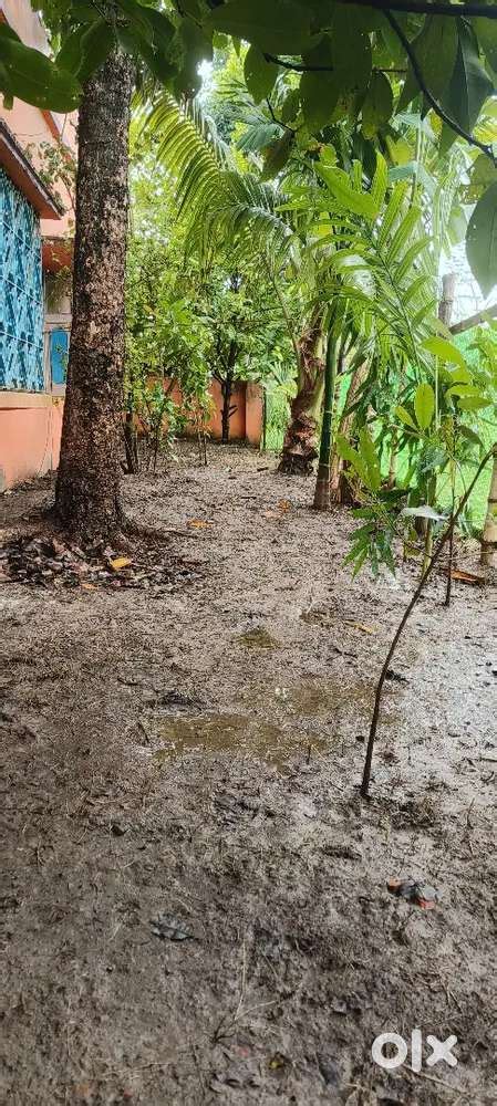 I hv three kothha five chatok with house - For Sale: Houses ...