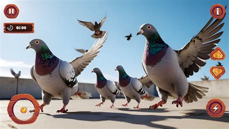 Flying Bird pigeon Games APK for Android Download