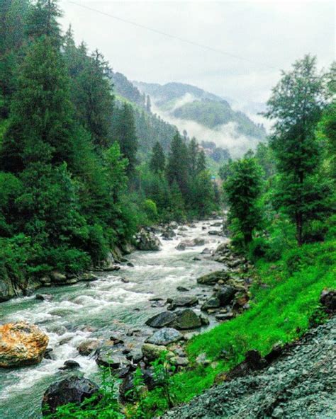 HOMESTAY BAROT VALLEY - Lodging Reviews & Photos - Tripadvisor