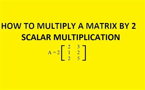 Image result for Multiply Array by Scalar MATLAB