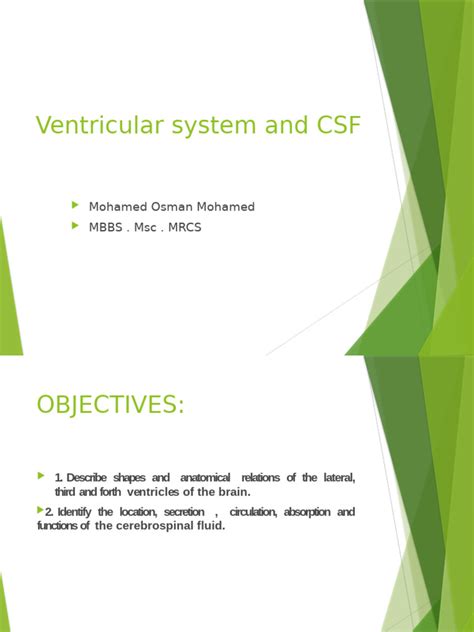 CSF Ventricular System 的图像结果