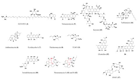 Combating Antimicrobial Resistance in the Post-Genomic Era: Rapid ...