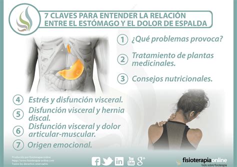 Que Es El Estomago Inflamado at James Loch blog