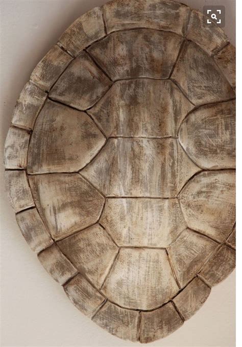 Image result for Turtle Inside Shell Ring