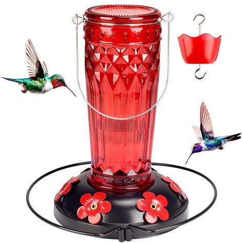 Amazon.com : Hummingbird Feeder-16 Ounces，6 Feeding Ports Glass ...