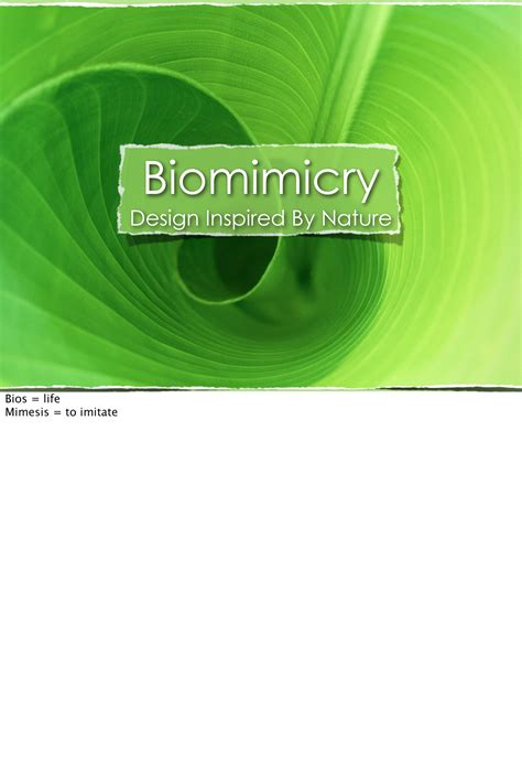 Biomimicry - This is the San Diego Zoo’s definition of biomimicry. In a ...