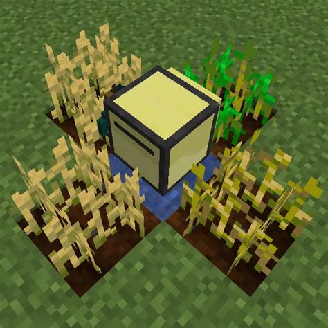 Farm Simple Tutorials 的图像结果