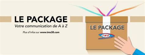 Image result for Python Package TMS Simulation