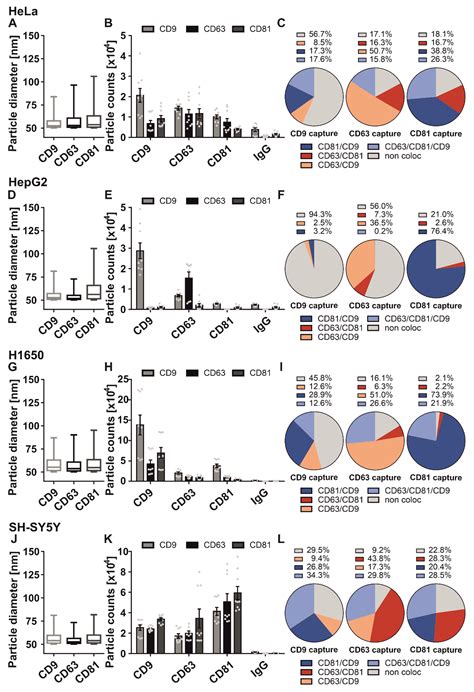 Detailed Characterization of Small Extracellular Vesicles from ...