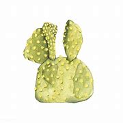 Image result for Cactus Opuntia Yellow Bunny Ears Photo