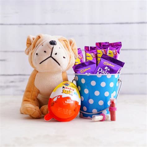 Send Chocolates Bucket and Doggie Stuff Toy for Bhai Dooj Online - BD21 ...