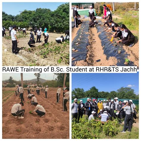 Dr YS Parmar University of Horticulture & Forestry