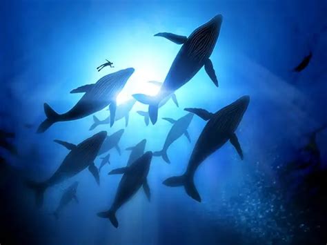 Cell structure - Scientists may have found the cure for cancer in ...