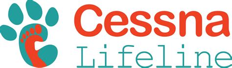 Top 10 Cat Toys of 2025 That Your Feline Will Adore