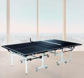 Buy Table Tennis Table Online, Table Tennis Table Price in India | Stag ...