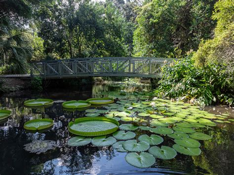 Kanapaha Botanical Gardens