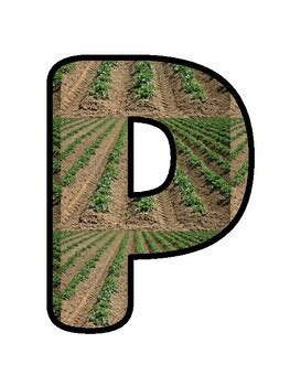 PAW-SITIVELY BAAA-CK TO SCHOOL!, Farm Bulletin Board Decor school ...