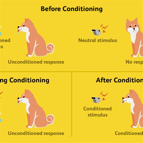 Classical Conditioning in Humans 的图像结果
