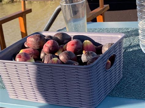 EXCLUSIVE CRUISES FRANCE - All You Need to Know BEFORE You Go 2026 ...