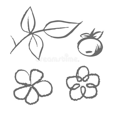 Image result for Visual Elements Example Drawing for Elementary