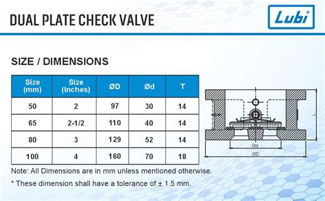 LUBI 3” Dual Plate Check Valve Wafer Type - Cast Iron | Non Return ...