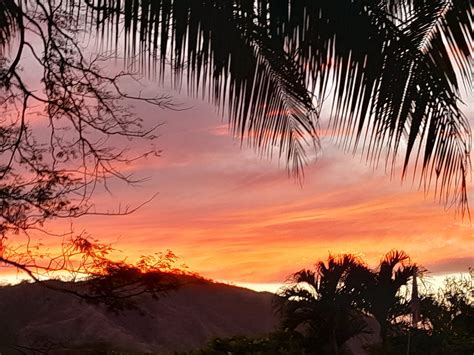 HOTEL RIU GUANACASTE (Costa Rica) - All-inclusive Resort Reviews ...