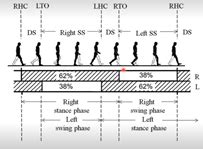 Biomechanics Flashcards | Quizlet