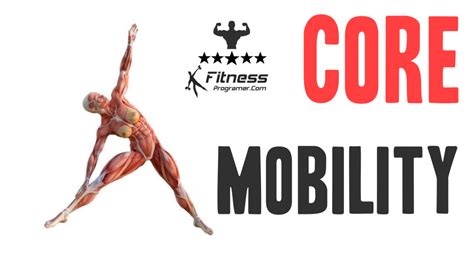 Strength Training Core Exercises 的图像结果