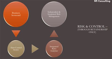 BI-Integrated Business Information System – MS Consulting