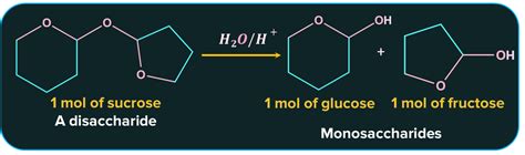 Sugars – Types, Tests, Sources, Importance, Side Effects, Practice ...