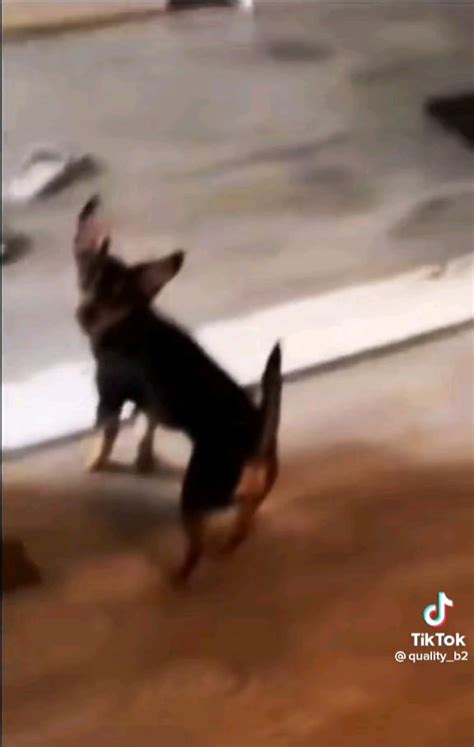 AU:R Code Tutorial 的图像结果