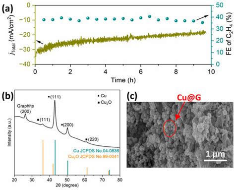 Integrating Carbon-Coated Cu/Cu2O Nanoparticles with Biochars Enabled ...