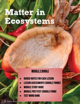 Image result for Science Module Grade 5