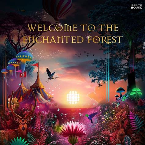 Sunburn Goa 2023: All You Need To Know About The EDM Festival