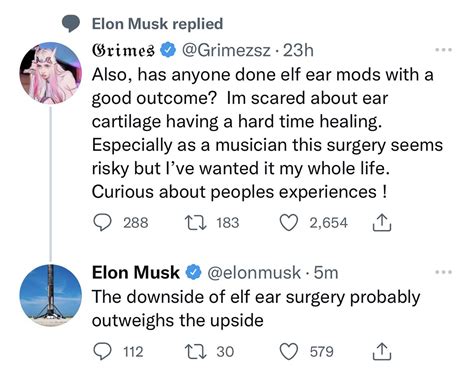 Elon Musk Seemingly Disapproves of Grimes' Desire to Get Elf Ear Surgery