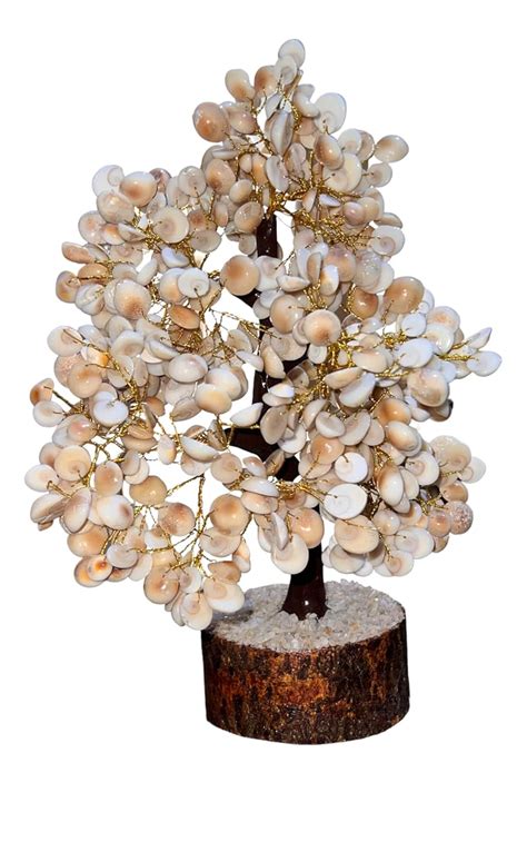 Buy Delrin Natural & Original Gomti Chakra Tree for Good Luck ...
