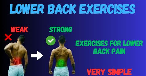 Image result for Daily Lower Back Exercises