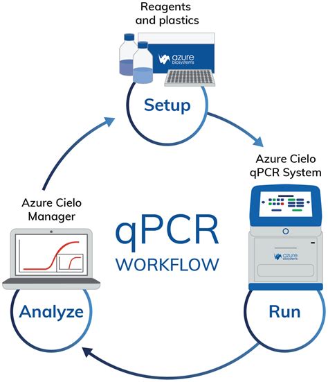 qPCR Method 的图像结果