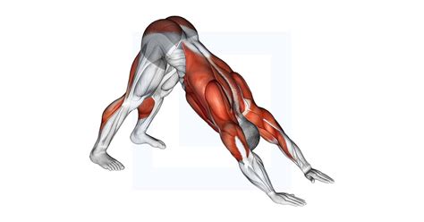 Image result for Hand Crossover Exercise